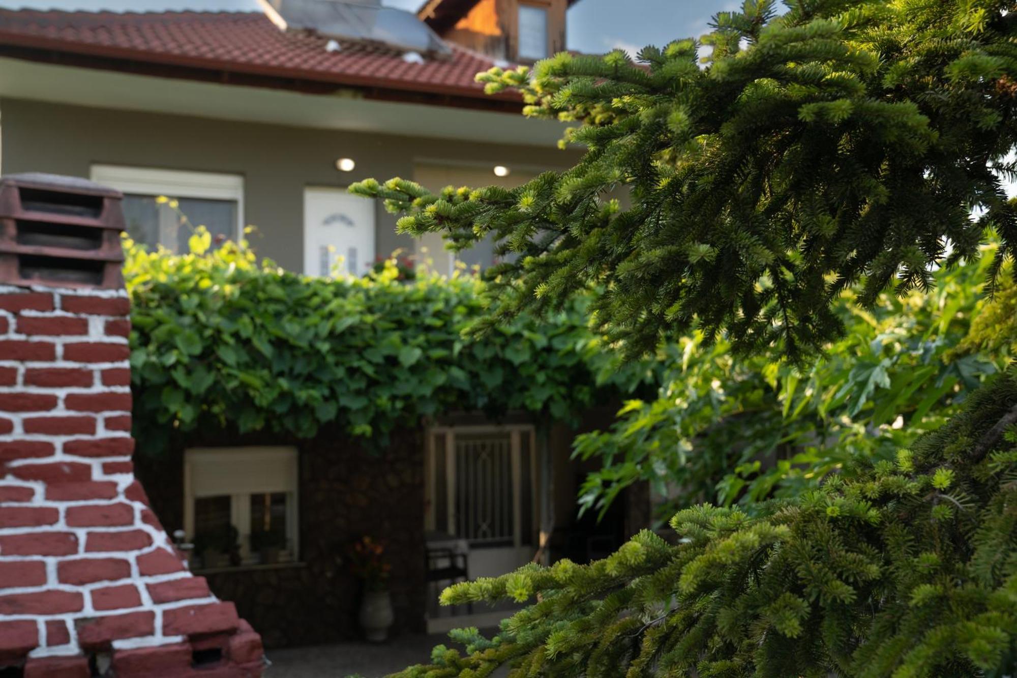 Xrysa's House Aridaia