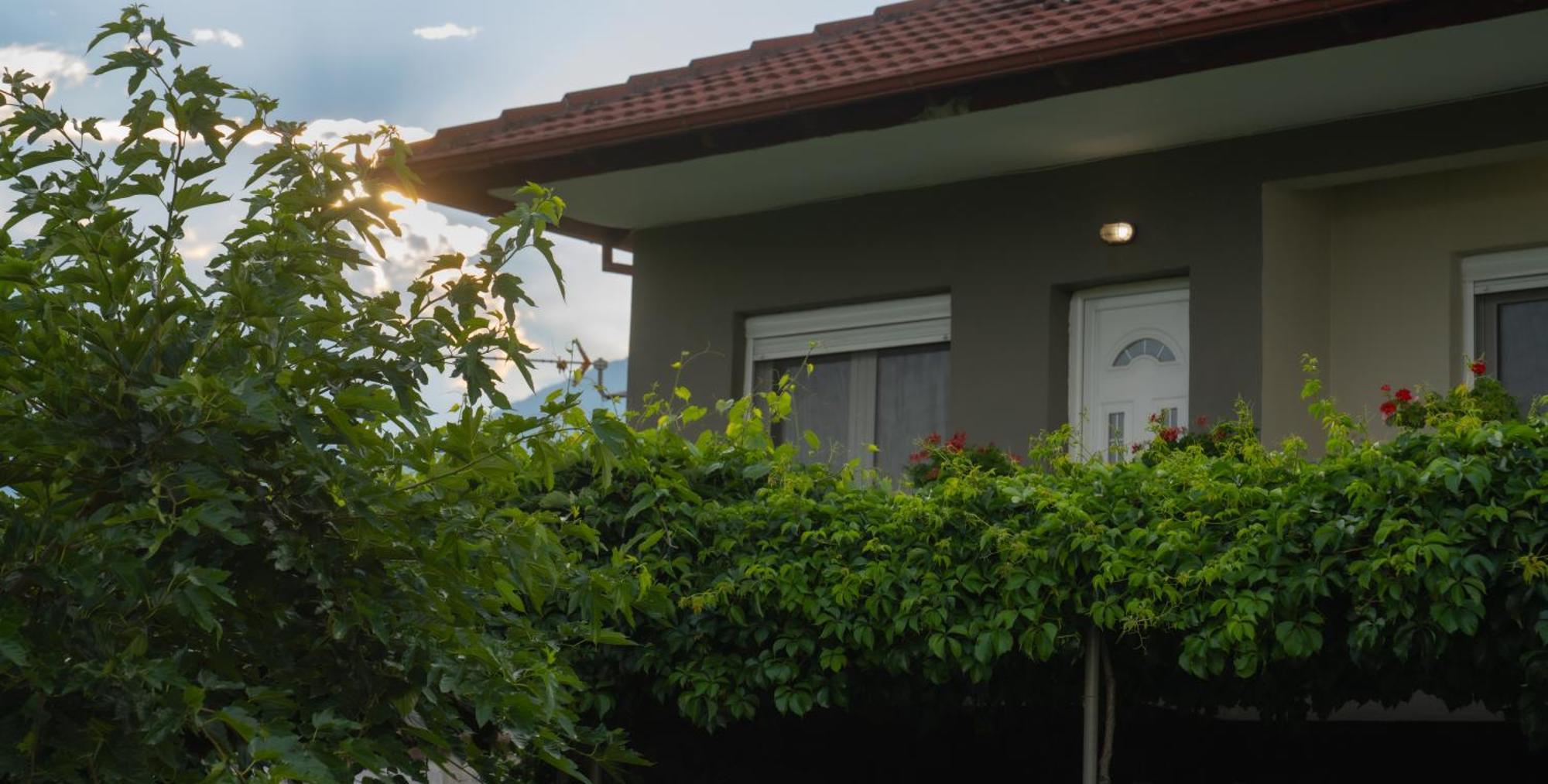 Xrysa's House * Aridaia