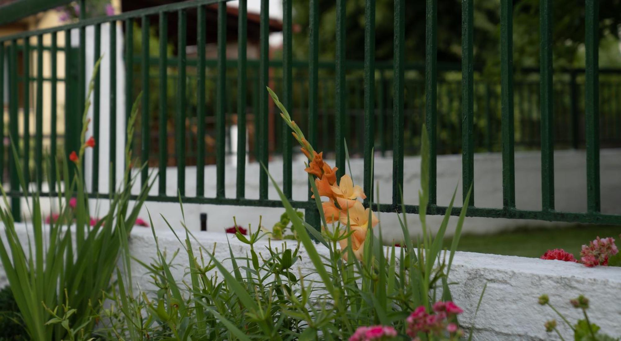 Apartment Xrysa's House Aridaia